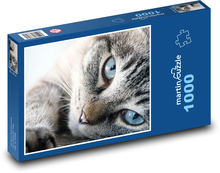 Kot Puzzle 1000 elementów - 60x46 cm