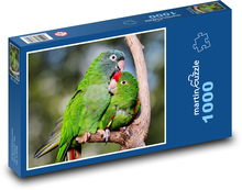 Papoušci Puzzle 1000 dílků - 60 x 46 cm