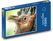 Veverka Puzzle 1000 dílků - 60 x 46 cm