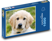 Labrador - šteniatko Puzzle 1000 dielikov - 60 x 46 cm 