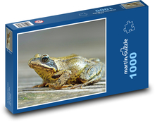 Żaba brunatna Puzzle 1000 elementów - 60x46 cm