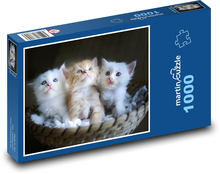 Kätzchen Puzzle 1000 Teile - 60 x 46 cm