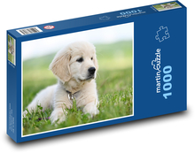 Golden Retriever - Dog Puzzle 1000 pieces - 60 x 46 cm 