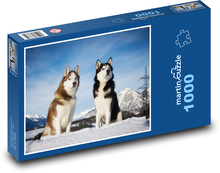 Sibírsky husky - pes Puzzle 1000 dielikov - 60 x 46 cm 