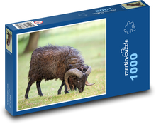 Ovce Puzzle 1000 dielikov - 60 x 46 cm