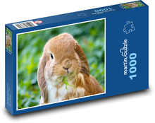 Hauskaninchen Puzzle 1000 Teile - 60 x 46 cm