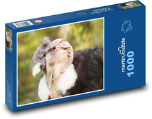 Condor - bird Puzzle 1000 pieces - 60 x 46 cm 