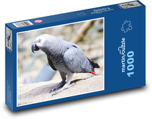 Szara papuga Puzzle 1000 elementów - 60x46 cm