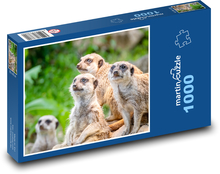 Surykatki Puzzle 1000 elementów - 60x46 cm