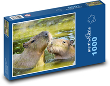 Capybara Puzzle 1000 pieces - 60 x 46 cm 