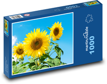 Slnečnica Puzzle 1000 dielikov - 60 x 46 cm