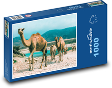 Wielbłądy - Oman Puzzle 1000 elementów - 60x46 cm
