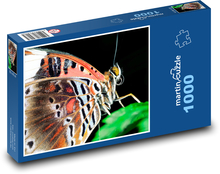 Motýľ so zlatými očami Puzzle 1000 dielikov - 60 x 46 cm 