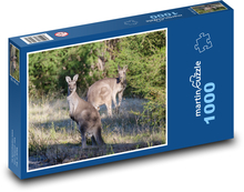 Klokany Puzzle 1000 dielikov - 60 x 46 cm 