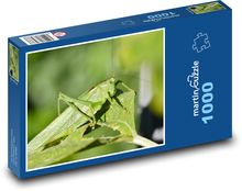 Heuschrecken - Insekten Puzzle 1000 Teile - 60 x 46 cm