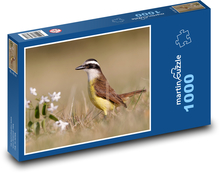 Tyrant bentevi - bird Puzzle 1000 pieces - 60 x 46 cm 