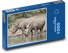 Bílý nosorožec Puzzle 1000 - 60x46 cm