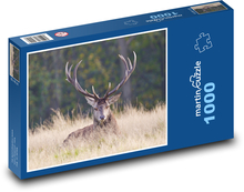 Deer - antlers Puzzle 1000 pieces - 60 x 46 cm 