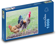 Kohout a slepice Puzzle 1000 dílků - 60 x 46 cm