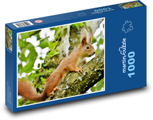 Veverička - hlodavec Puzzle 1000 dielikov - 60 x 46 cm 