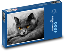 Britische Langhaarkatze Puzzle 1000 Teile - 60 x 46 cm