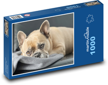 Francúzsky buldoček - pes Puzzle 1000 dielikov - 60 x 46 cm
