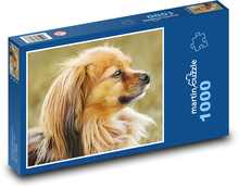 Čivava - pes Puzzle 1000 dielikov - 60 x 46 cm 
