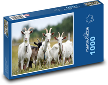 Ziegenherde Puzzle 1000 Teile - 60 x 46 cm
