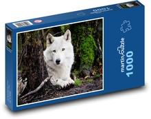 Bílý vlk Puzzle 1000 dílků - 60 x 46 cm