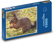 Wiewiórka - gryzoń Puzzle 1000 elementów - 60x46 cm