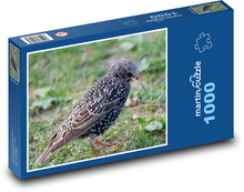 Starling - bird Puzzle 1000 pieces - 60 x 46 cm 