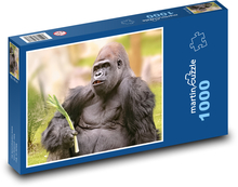 Gorila - savec Puzzle 1000 - 60x46 cm
