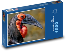 Zoborožec - pták Puzzle 1000 dílků - 60 x 46 cm