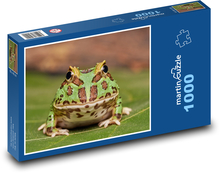 Žaba - obojživelník Puzzle 1000 dielikov - 60 x 46 cm 
