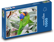 Duhový papoušek Puzzle 1000 - 60x46 cm