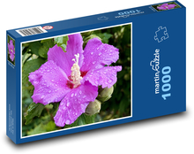 Hibiskus - kwiat Puzzle 1000 elementów - 60x46 cm