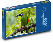 Toucan - bird Puzzle 1000 pieces - 60 x 46 cm 