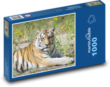 Der Tiger Puzzle 1000 Teile - 60 x 46 cm