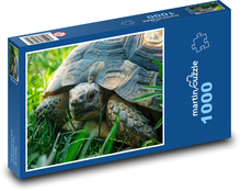 Schildkröte auf der Wiese Puzzle 1000 Teile - 60 x 46 cm