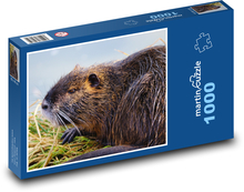 Eine Biberratte! Puzzle 1000 Teile - 60 x 46 cm