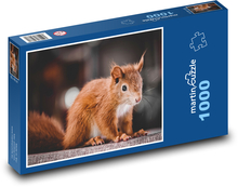 Rostiges Eichhörnchen Puzzle 1000 Teile - 60 x 46 cm