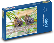Motýli  Puzzle 1000 dílků - 60 x 46 cm