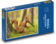 Veverica Puzzle 1000 dielikov - 60 x 46 cm 
