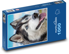 Dog Puzzle 1000 pieces - 60 x 46 cm 