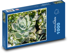 Sukulent - rostlina Puzzle 1000 - 60x46 cm
