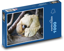 Leňoch v ZOO Puzzle 1000 dielikov - 60 x 46 cm 