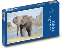 Slon Puzzle 1000 dílků - 60 x 46 cm
