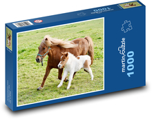 Hříbě - Shetland pony Puzzle 1000 - 60x46 cm