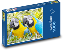 Papugowe Puzzle 1000 elementów - 60x46 cm