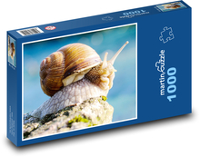 schnecke Puzzle 1000 Teile - 60 x 46 cm